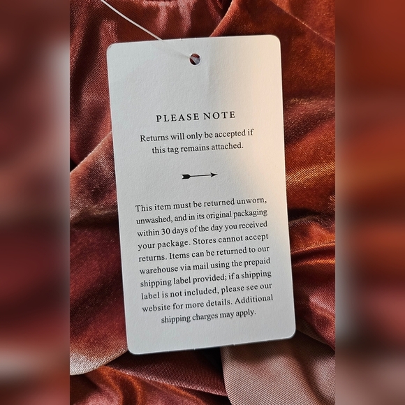 Jenny Yoo Logan Women's Sleeveless Deep-V Velvet Column Gown, Cinnamon Rose, 22 - Picture 11 of 11